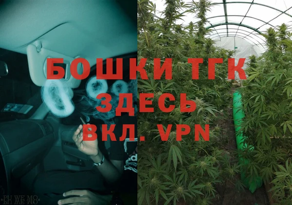 гашик Заводоуковск
