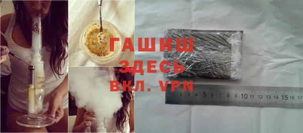 гашик Заводоуковск