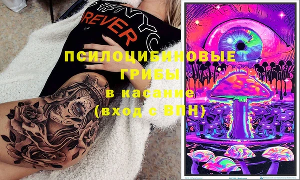 гашик Заводоуковск
