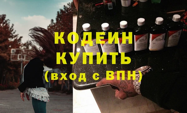 гашик Заводоуковск