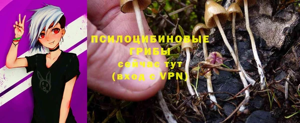 спиды Зерноград