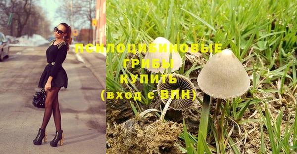 гашик Заводоуковск