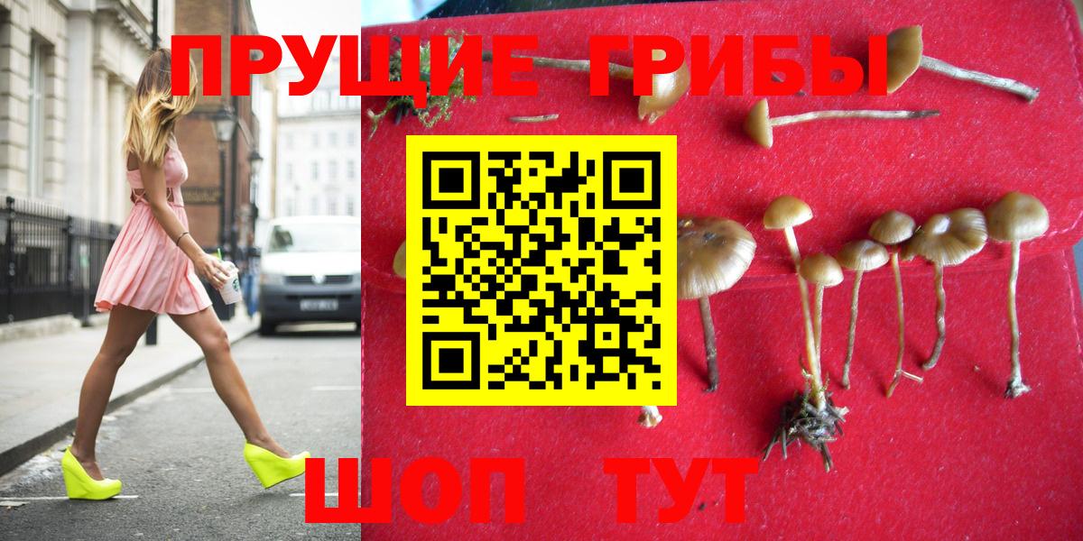 Славгород  Галлюциногенные грибы ЛСД  Вход с VPN 