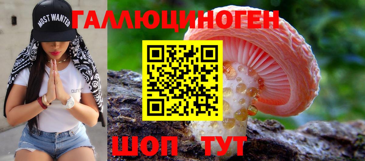 Галлюциногенные грибы Psilocybine cubensis Славгород